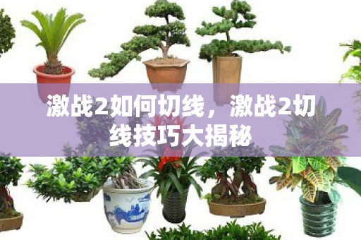 激战2如何切线,激战2切线技巧大揭秘 激战2如何切线,激战2切线技巧大揭秘