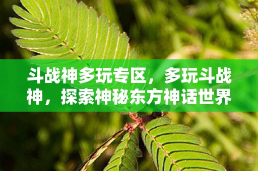 斗战神多玩专区,多玩斗战神,探索神秘东方神话世界 斗战神多玩专区,多玩斗战神,探索神秘东方神话世界