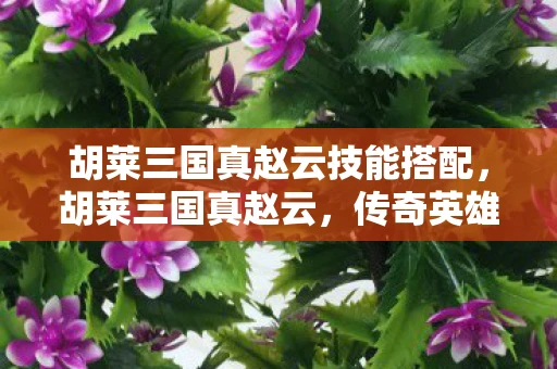 胡莱三国真赵云技能搭配，胡莱三国真赵云，传奇英雄的铁血风采