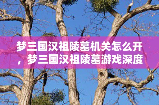 梦三国汉祖陵墓机关怎么开，梦三国汉祖陵墓游戏深度分析