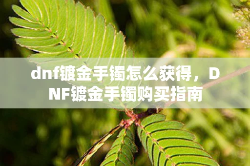 dnf镀金手镯怎么获得,DNF镀金手镯购买指南 dnf镀金手镯怎么获得,DNF镀金手镯购买指南