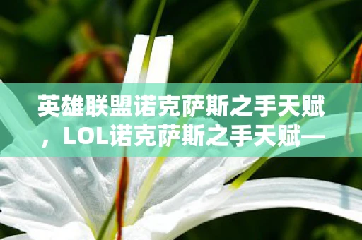 英雄联盟诺克萨斯之手天赋，LOL诺克萨斯之手天赋—游戏中的战略核心资讯频道