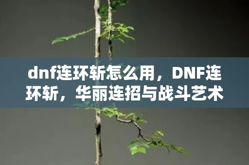 dnf连环斩怎么用,DNF连环斩,华丽连招与战斗艺术的完美结合 dnf连环斩怎么用,DNF连环斩,华丽连招与战斗艺术的完美结合