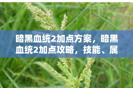 暗黑血统2加点方案，暗黑血统2加点攻略，技能、属性与战斗风格全解析