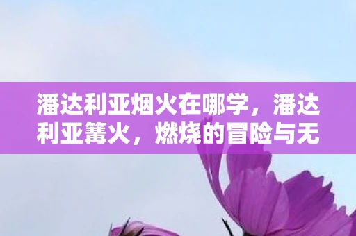 潘达利亚烟火在哪学,潘达利亚篝火,燃烧的冒险与无尽的英雄 潘达利亚烟火在哪学,潘达利亚篝火,燃烧的冒险与无尽的英雄