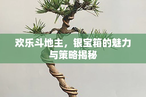 银宝箱的魅力与策略揭秘图片