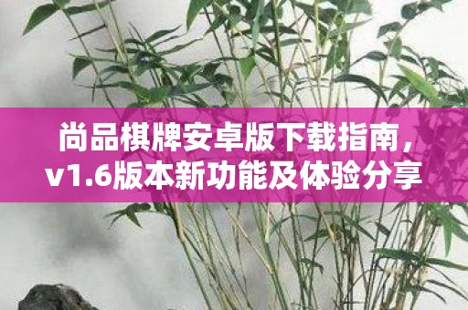 尚品棋牌安卓版下载指南，v1.6版本新功能及体验分享