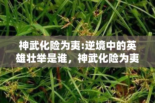 神武化险为夷:逆境中的英雄壮举是谁,神武化险为夷,逆境中的英雄壮举 神武化险为夷:逆境中的英雄壮举是谁,神武化险为夷,逆境中的英雄壮举