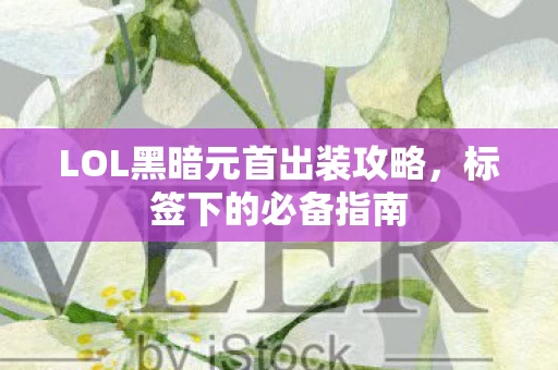 LOL黑暗元首出装攻略图片