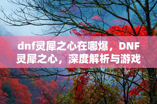 dnf灵犀之心在哪爆,DNF灵犀之心,深度解析与游戏内容探讨 dnf灵犀之心在哪爆,DNF灵犀之心,深度解析与游戏内容探讨
