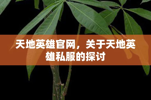 天地英雄官网,关于天地英雄私服的探讨 天地英雄官网,关于天地英雄私服的探讨