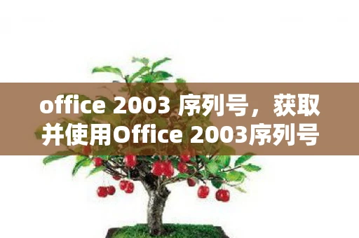 office 2003 序列号，获取并使用Office 2003序列号详细步骤