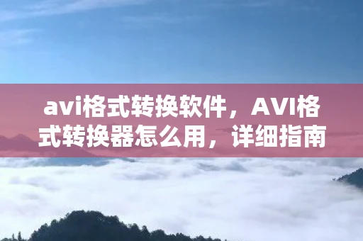 avi格式转换软件，AVI格式转换器怎么用，详细指南教你如何使用AVI格式转换器