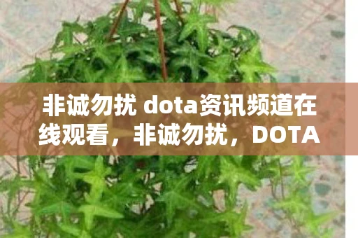 非诚勿扰 dota资讯频道在线观看，非诚勿扰，DOTA资讯频道