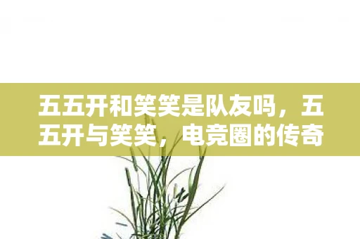 五五开和笑笑是队友吗，五五开与笑笑，电竞圈的传奇搭档