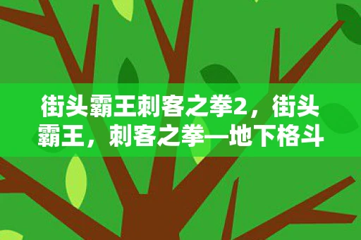 街头霸王刺客之拳2，街头霸王，刺客之拳—地下格斗的隐秘传说