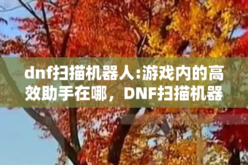 dnf扫描机器人:游戏内的高效助手在哪,DNF扫描机器人,游戏内的高效助手 dnf扫描机器人:游戏内的高效助手在哪,DNF扫描机器人,游戏内的高效助手