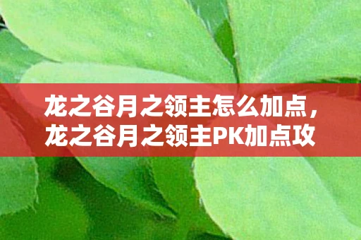 龙之谷月之领主怎么加点,龙之谷月之领主PK加点攻略,掌握技能,成为竞技场霸主! 龙之谷月之领主怎么加点,龙之谷月之领主PK加点攻略,掌握技能,成为竞技场霸主!