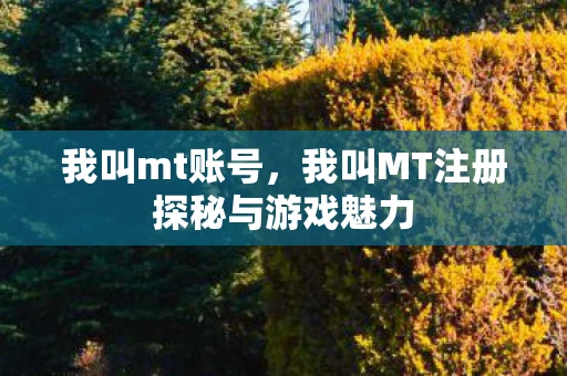 我叫mt账号，我叫MT注册探秘与游戏魅力
