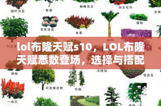 lol布隆天赋s10,LOL布隆天赋悉数登场,选择与搭配技巧大揭秘 lol布隆天赋s10,LOL布隆天赋悉数登场,选择与搭配技巧大揭秘
