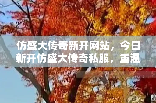 仿盛大传奇新开网站，今日新开仿盛大传奇私服，重温经典，再现辉煌