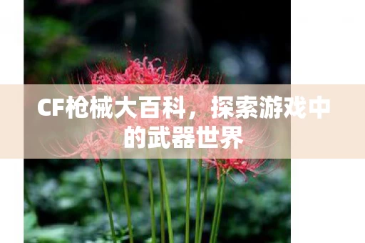 探索游戏中的武器世界图片
