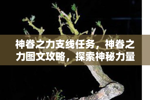 神眷之力支线任务，神眷之力图文攻略，探索神秘力量的源泉