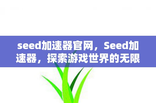 seed加速器官网，Seed加速器，探索游戏世界的无限可能