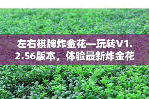 左右棋牌炸金花—玩转V1.2.56版本，体验最新炸金花棋牌魅力