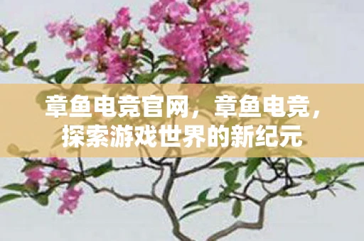 章鱼电竞官网，章鱼电竞，探索游戏世界的新纪元