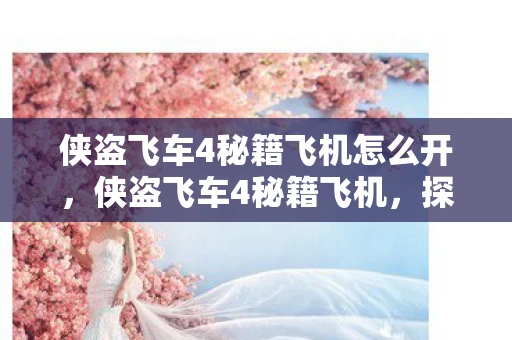 侠盗飞车4秘籍飞机怎么开,侠盗飞车4秘籍飞机,探索天际的无限可能 侠盗飞车4秘籍飞机怎么开,侠盗飞车4秘籍飞机,探索天际的无限可能