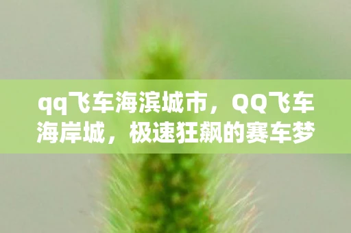 qq飞车海滨城市,QQ飞车海岸城,极速狂飙的赛车梦想 qq飞车海滨城市,QQ飞车海岸城,极速狂飙的赛车梦想