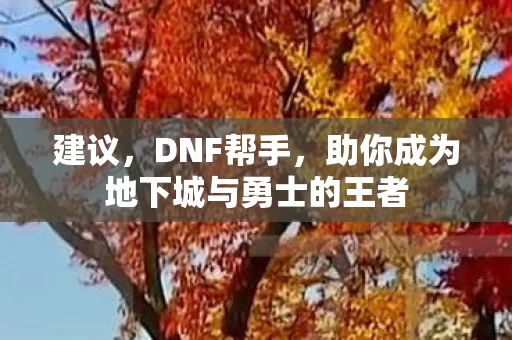 助你成为地下城与勇士的王者图片