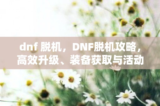 dnf 脱机,DNF脱机攻略,高效升级、装备获取与活动参与指南 dnf 脱机,DNF脱机攻略,高效升级、装备获取与活动参与指南