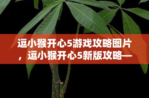 逗小猴开心5游戏攻略图片,逗小猴开心5新版攻略—轻松上手,乐趣无穷 逗小猴开心5游戏攻略图片,逗小猴开心5新版攻略—轻松上手,乐趣无穷
