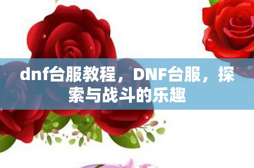 dnf台服教程,DNF台服,探索与战斗的乐趣 dnf台服教程,DNF台服,探索与战斗的乐趣
