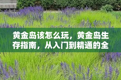 黄金岛该怎么玩,黄金岛生存指南,从入门到精通的全方位攻略 黄金岛该怎么玩,黄金岛生存指南,从入门到精通的全方位攻略