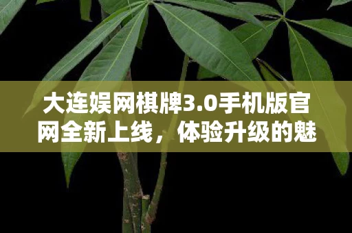 0手机版官网全新上线图片