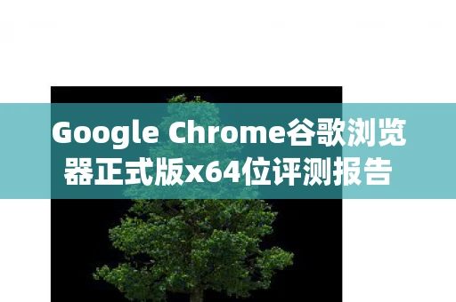 Google Chrome谷歌浏览器正式版x64位评测报告