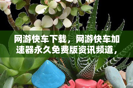 网游快车下载，网游快车加速器永久免费版资讯频道，最新动态与深度解析
