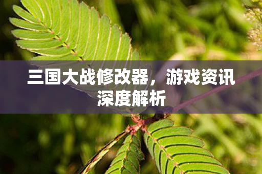 游戏资讯深度解析图片