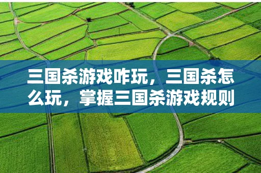 三国杀游戏咋玩,三国杀怎么玩,掌握三国杀游戏规则与策略指南 三国杀游戏咋玩,三国杀怎么玩,掌握三国杀游戏规则与策略指南