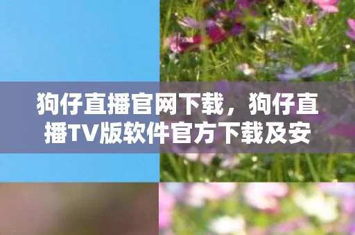 狗仔直播官网下载，狗仔直播TV版软件官方下载及安装指南