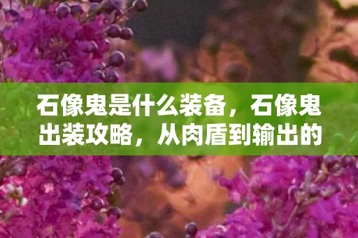 石像鬼是什么装备，石像鬼出装攻略，从肉盾到输出的全方位装备选择