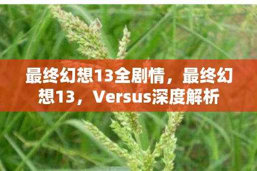 最终幻想13全剧情,最终幻想13,Versus深度解析 最终幻想13全剧情,最终幻想13,Versus深度解析