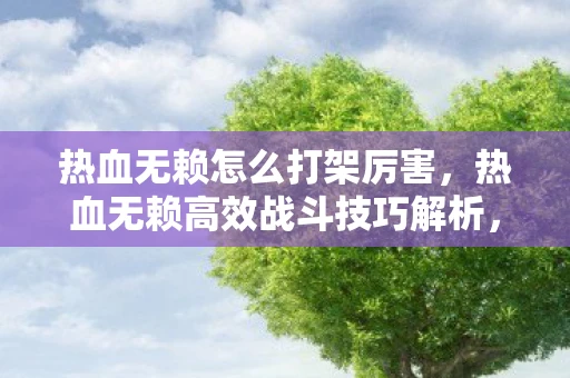 热血无赖怎么打架厉害，热血无赖高效战斗技巧解析，从新手到高手的进阶攻略