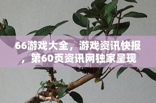 66游戏大全,游戏资讯快报,第60页资讯网独家呈现 66游戏大全,游戏资讯快报,第60页资讯网独家呈现