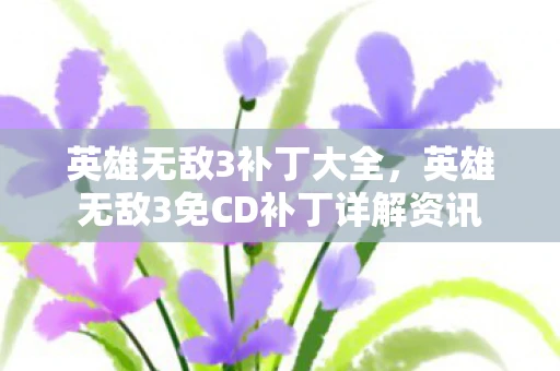 英雄无敌3补丁大全，英雄无敌3免CD补丁详解资讯