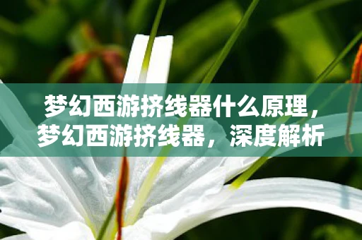 梦幻西游挤线器什么原理，梦幻西游挤线器，深度解析与游戏魅力探索