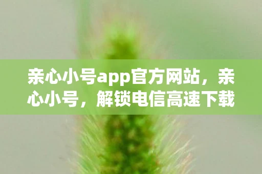 亲心小号app官方网站，亲心小号，解锁电信高速下载的新体验